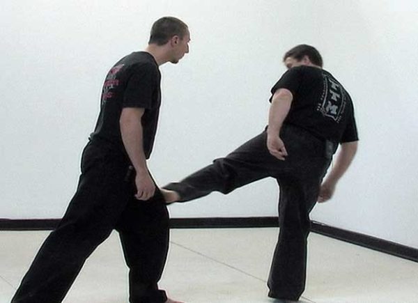 Mark-ODell-White-Tiger-Kenpo